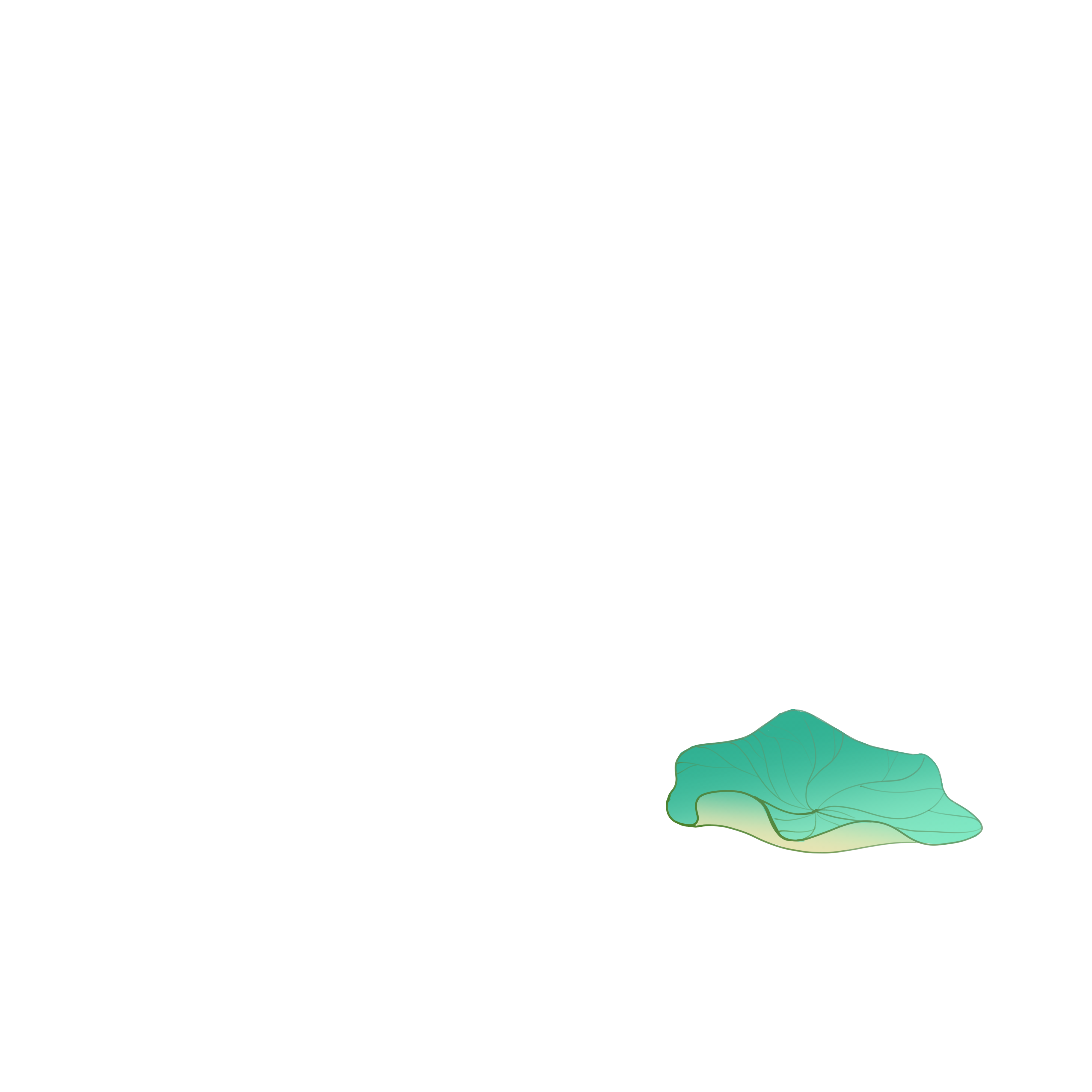 Lotus Leaf